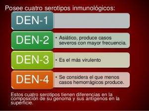 I 4 TIPI DELLA DENGUE